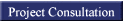 Project Consultation